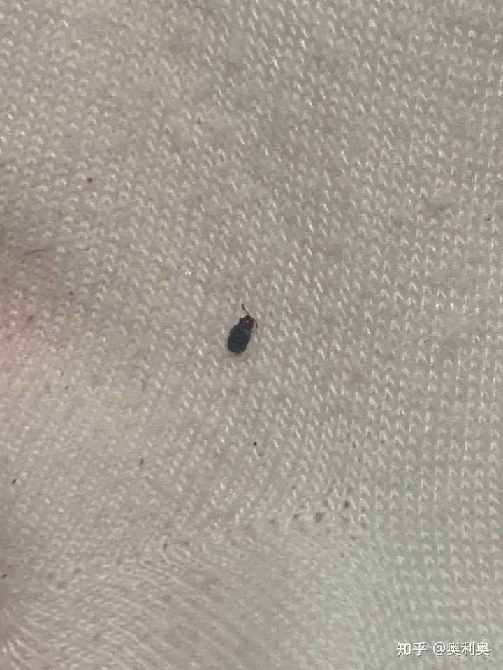 第417页